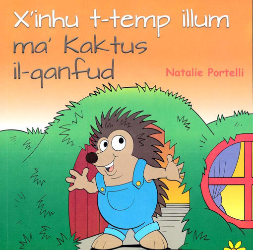 Picture of NP - XINHU T-TEMP ILLUM MA KAKTUS IL-QANFUD